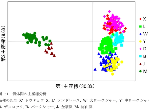 図 1-1  個体間の主座標分析 