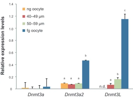 Fig. 2-2 mRNA expression analysis of Dnmt3a, Dnmt3a2, and Dnmt3L in  mouse oocytes.