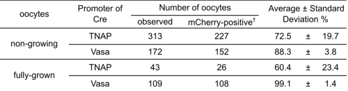 Table 3-1. Cre efficiency in ng and fg oocytes from dTg mice observed mCherry-positive † TNAP 313 227 72.5 ± 19.7 Vasa 172 152 88.3 ± 3.8 TNAP 43 26 60.4 ± 23.4 Vasa 109 108 99.1 ± 1.4