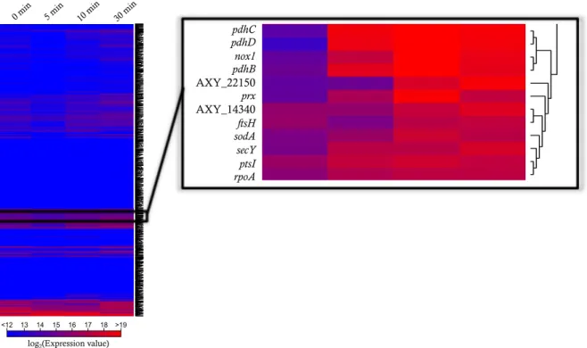 Figure  1-2-5.  Whole  genes  heat  map  and  cluster  map  based  on  whole  transcriptional  expression  analysis by RNA-seq