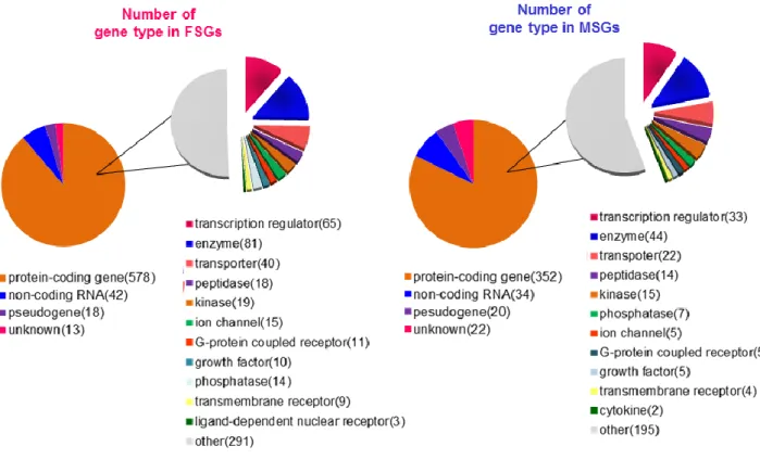 Figure 2-6.  各性特異的遺伝子群の遺伝子特性  (Gene type) 