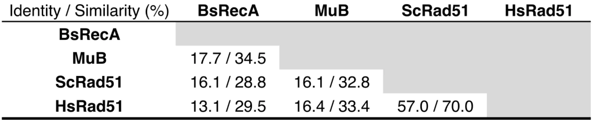 表 2. MuB と RecA アミノ酸配列の類似性
