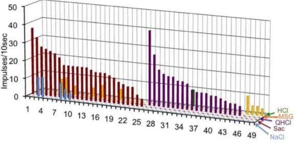 図 3 Gustducin 発現細胞の５基本味に対する味応答記録のプロファイル。味刺激には 300mM NaCl、20mM Sac、10mM QHCl、300mM MSG、10mM HCl を用いた。1~25 は 甘味ベスト細胞、26~45 は苦味ベスト細胞、46~49 はうま味ベスト細胞を示す。縦軸は 応答の大きさ（10 秒間の刺激で生じるインパルス数）を示す。 