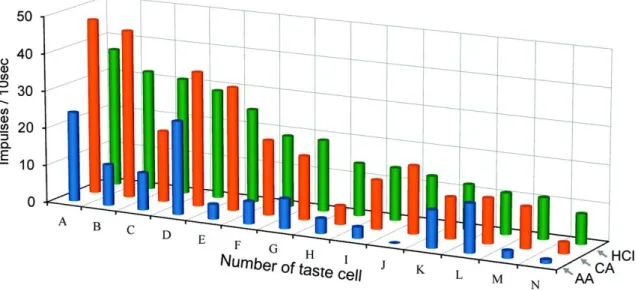 図 10  14 個の HCl 応答細胞の 3 種の酸味物質に対する応答記録プロファイルを示す。 HCl に対する応答の大きさにより細胞を並べた。味刺激には 10mM  酢酸(AA)、10mM クエン酸(CA)、10mM  塩酸(HCl)  を用いた。  図 11    HCl 応答細胞の酸味物質に対する応答プロファイルによるクラスター分析結果。 細胞番号(図 10 と同様)と応答プロファイルを左端に示す(A または a:  酢酸、C または c:  クエン酸、H または h:  塩酸)。酸味刺激への応答に