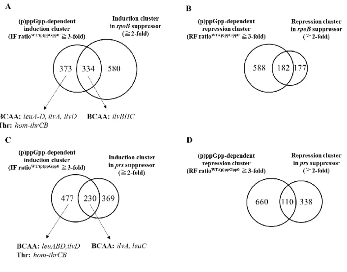 Fig. 2-3  アミノ酸飢餓誘導条件(RHX+ 10 min)における(p)ppGpp、抑圧変異 rpoB, prs  (NBS2481[ rpoB   A622V],  NBS2486[ prs   I148S])によって mRNA 量が変化していた遺 伝子クラスターの比較 