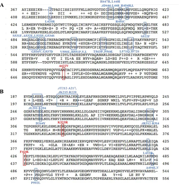 Fig. 2-7  枯草菌及び大腸菌の RNAP コア酵素/’ subunit のアミノ酸配列と(p)ppGpp 0 株の抑圧変異として同定されたアミノ酸残基の比較 