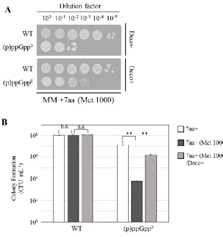 Fig. 3-5 (p)ppGpp 0 株(NBS1440)の生育に対するメチオニン過剰添加による影響 