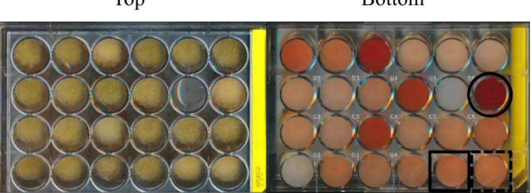 Fig. 1 KA production of a part of library strain in the screening. 