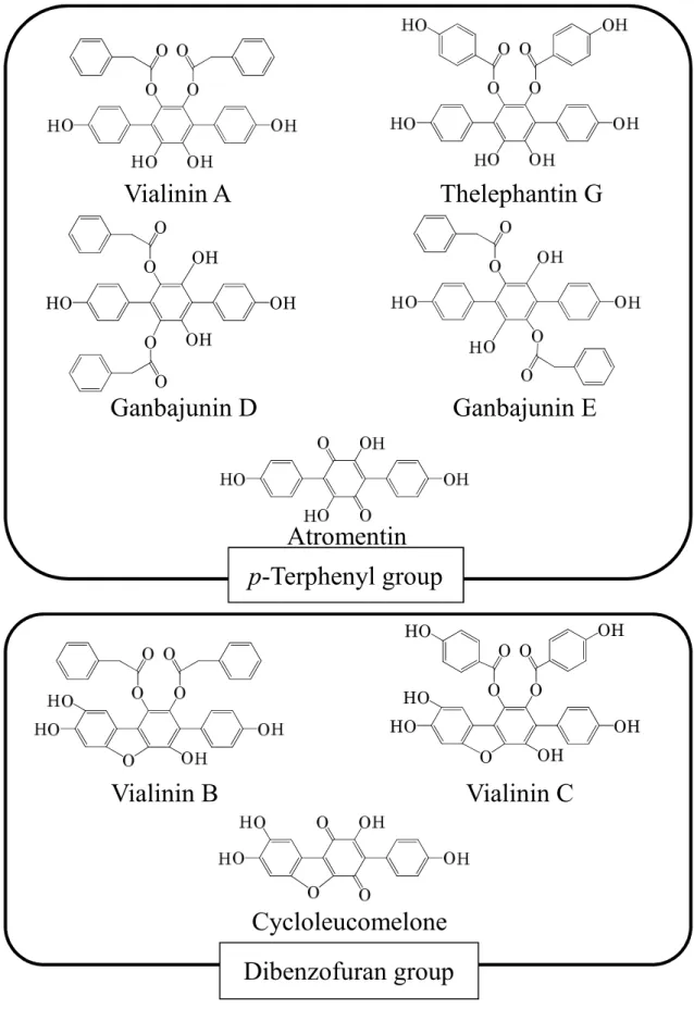 Figure 0-3 Bioactive compounds isolated from Thelephora vialis. 