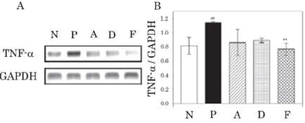 Figure 1-1 Inhibitory effects of vialinin A and DMT against TNF-α mRNA expression    in RBL-2H3 cells