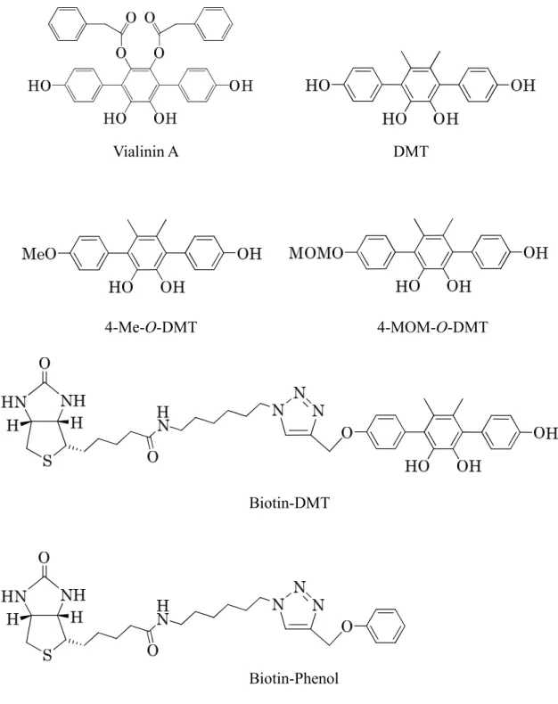 Figure 2-3 Structures of vialinin A, DMT and its derivatives. 