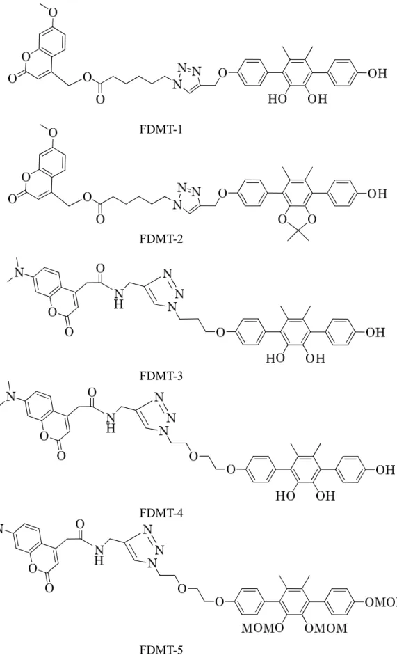 Figure 2-4 Structures of Fluorescent DMT derivatives (FDMTs). 