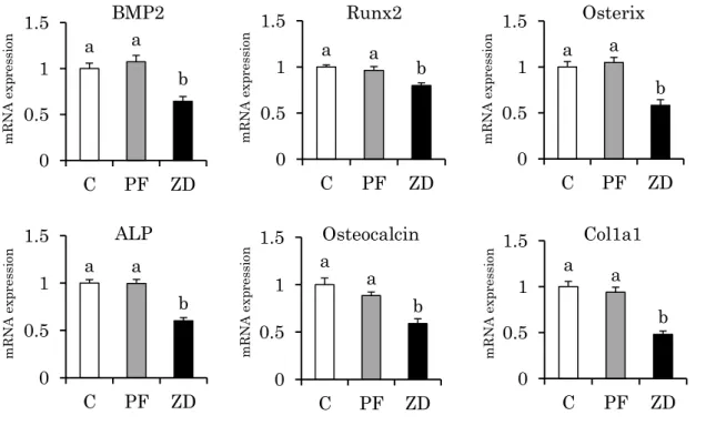Fig.  3-2.  Effect  of  dietary  zinc  deficiency  on  the  gene  expression  levels  of  osteoblastogenesis-related factors and osteoblast-specific proteins in femur