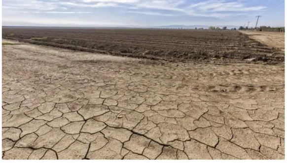 Fig. 1-5 Soil degradation 