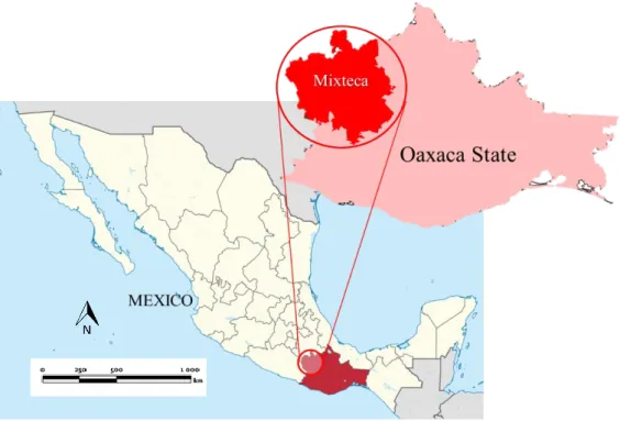 Fig. 2-1 Mixteca Region, Mexico 