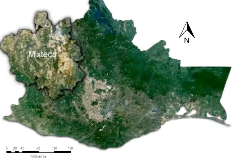 Fig. 2-3 Land degradation in Oaxaca State 