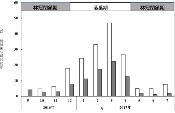 図 29  各月の相対光量子束密度の季節変化 