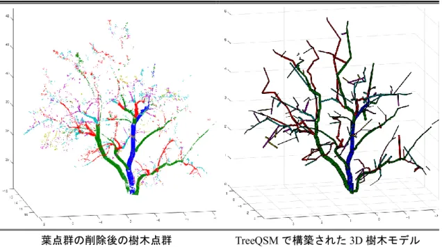 図 25  （e）ザクロ 
