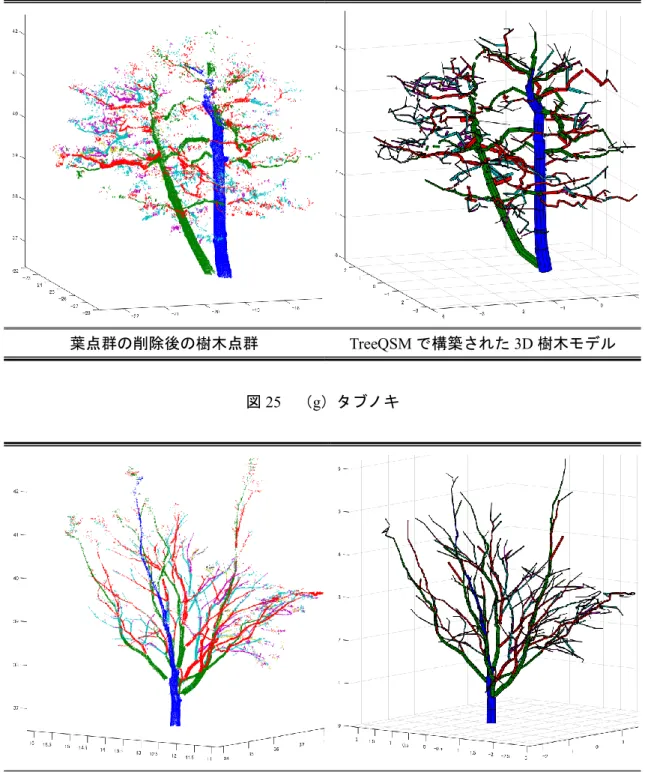 図 25   （ h ）イロハカエデ 