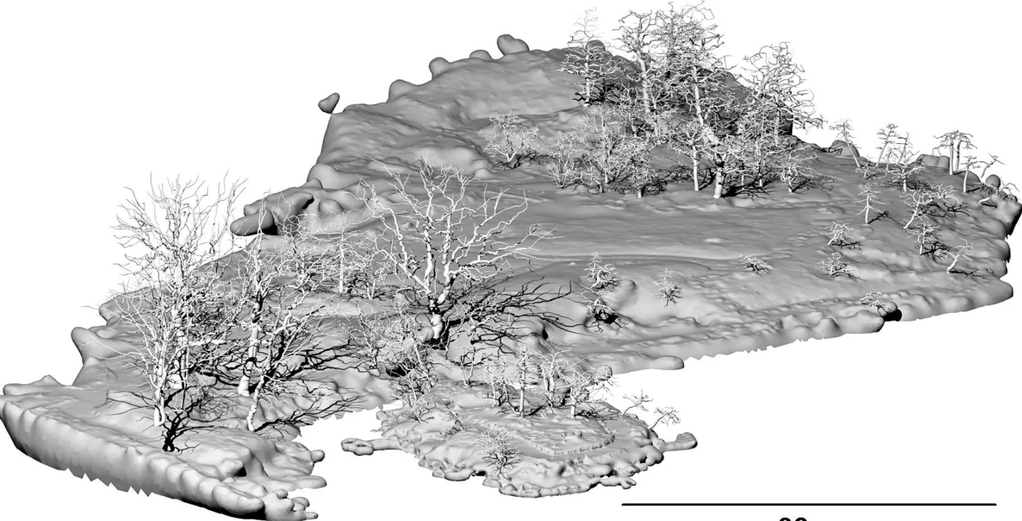 図 26 (a)  対象エリア全体の 3D 樹木モデルの構築図 