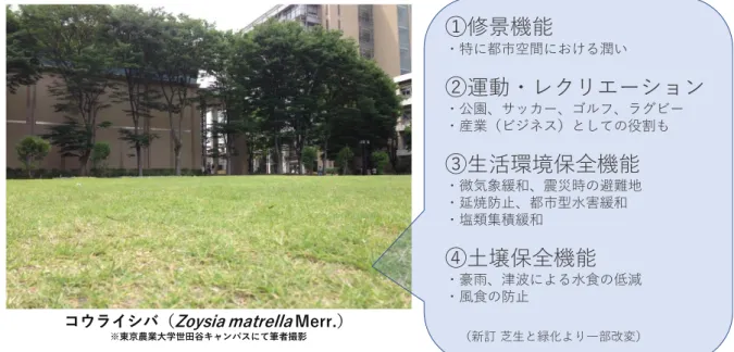 図  1  私たちの生活空間における芝生の主な利用と機能