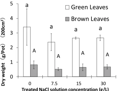 図   20 4 段階の異なる濃度の NaCl 溶液施用のコウライシバの健全葉、枯死葉の乾燥重 量 