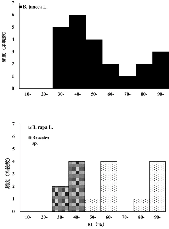 Fig. 4-3.    Mohn Nyin B. juncea, B. rapa, Brassica sp. RI % . 