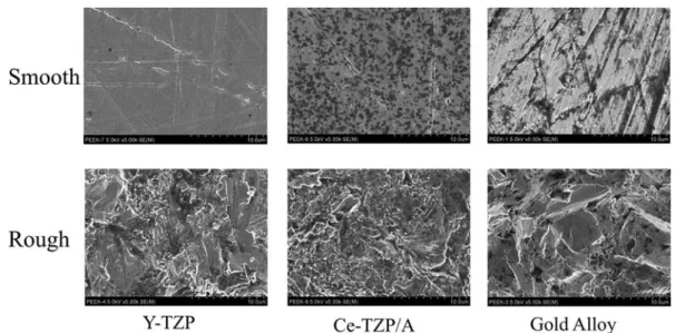 Fig. 2 Scanning electron microscopic images.