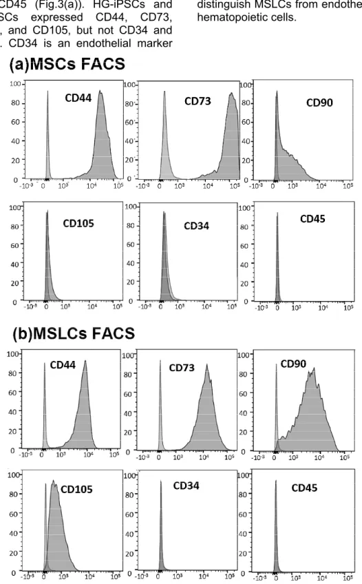 Fig. 3  Flow cytometry analysis of MSC-related surface markers (CD44,  CD73, CD90, and CD105) and hematopoietic markers (CD34 and CD45)