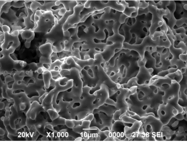 Figure 1. Scanning electron micrographs of alpha-tricalcium phosphate (α-TCP) particles