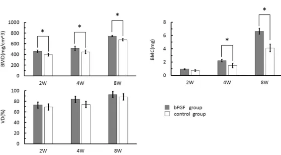 Figure 4. BMD, bone mineral content (BMC), and volumetric density (VD) in the bFGF and control  groups at two, four and eight weeks