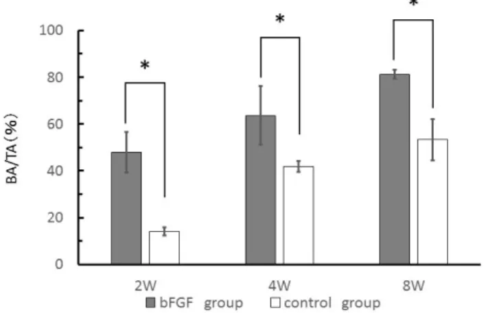 Figure 6. Quantification of new bone growth by measuring new bone area to total area (BA/TA) (%)  from H&amp;E-stained sections