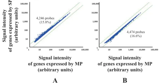 Fig. 2 Scatter-plot analysis. The levels of genes expressed by MP and SP cells are plotted on the X- and Y-axes, respectively.