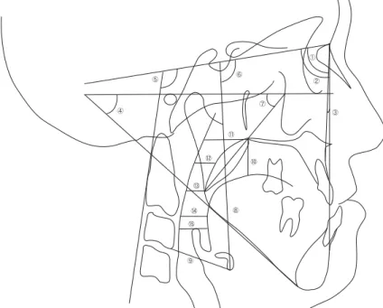 Fig. 1 Measurements on the lateral cephalogram.