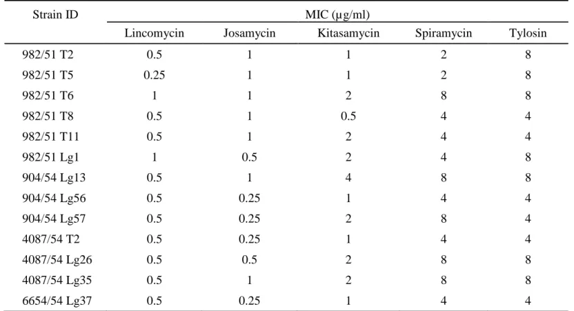 Table 5.  Minimal inhibitory concentrations (MICs) of lincomycin and macrolides for  13 Thai M