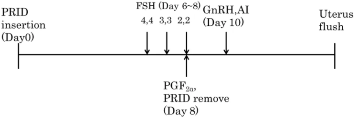 Figure 7. 過 剰 排 卵 処 置 と 受 精 胚 回 収 の プ ロ グ ラ ム