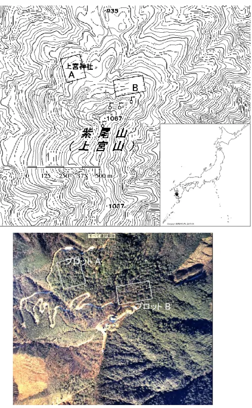 図 4-1  紫尾山山頂の判読プロット(A：900-950m，B：950-1000m，2.26ha) 