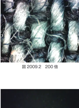 図 2008.4　緯糸（黒） 燃焼実験後 200 倍 図 2009.2　200 倍 図 2009.1　60 倍 図 2009.4　緯糸（黒） 燃焼実験後 200 倍整理番号 2009図 2009.3　経糸（黒） 燃焼実験後 200 倍番号2008匂い経糸：木＋火薬緯糸：木＋火薬経糸繊維苧麻／ラミー緯糸繊維苧麻／ラミー経糸密度25.0緯糸密度18.0その他図 2008.3 および図 2008.4 より、経糸と緯糸の燃焼実験の結果はほぼ同じと言える。燃焼実験時の匂いに火薬の匂いがあるのは、染料や繊維を糸にする際