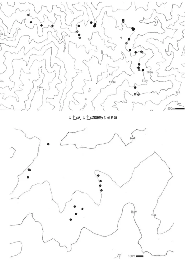 図    台湾島内において野生のカンヒザクラ、 ‘琉球寒緋桜’、中間型の生育が確認された地点  図Ⅲ-6  図Ⅲ-4 の★1 地点詳細  図Ⅲ-7  図Ⅲ-4 の★2 地点詳細  ※図Ⅲ-6、Ⅲ-7 共通  丸印（○）は野生個体、ひし形印（◇）は野生か植栽か疑わしい個体を示す。  黒：カンヒザクラ、灰：中間型（図Ⅲ-7 は中間型無し） 