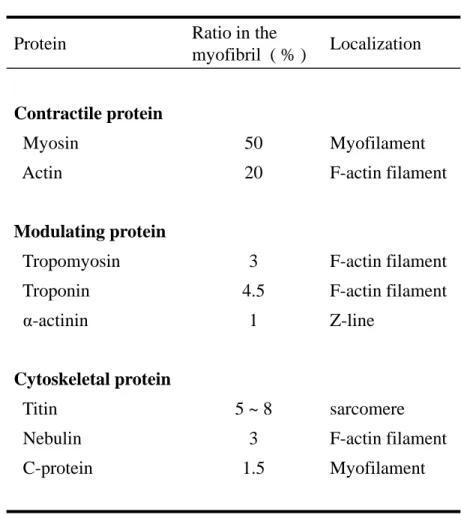 Table 1    Rate of individual protein in the myofibril  