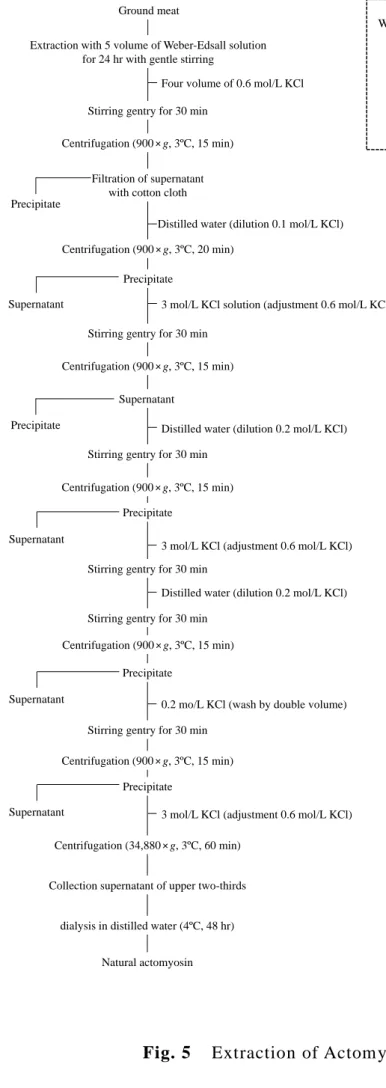 Fig. 5    Extraction of Actomyosin from raw meat  