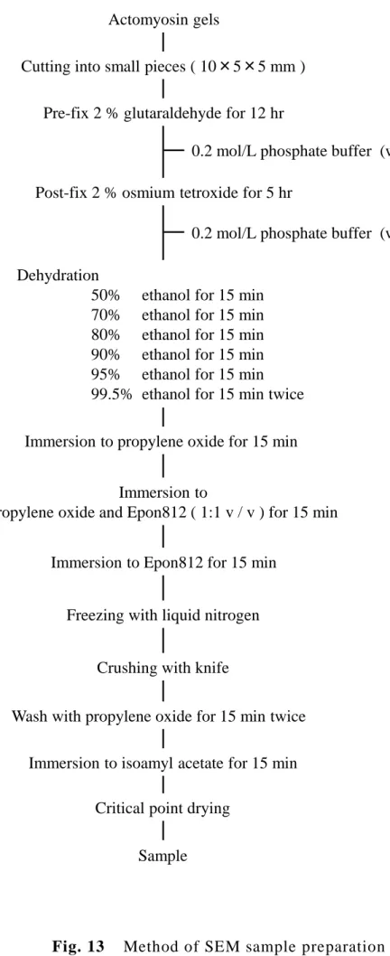 Fig. 13    Method of SEM sample preparation  