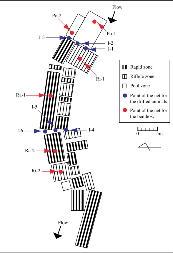 Fig. 3-2.    Sampling points and distribution of river flow velocity in the Ikushina                      River (Area 1)