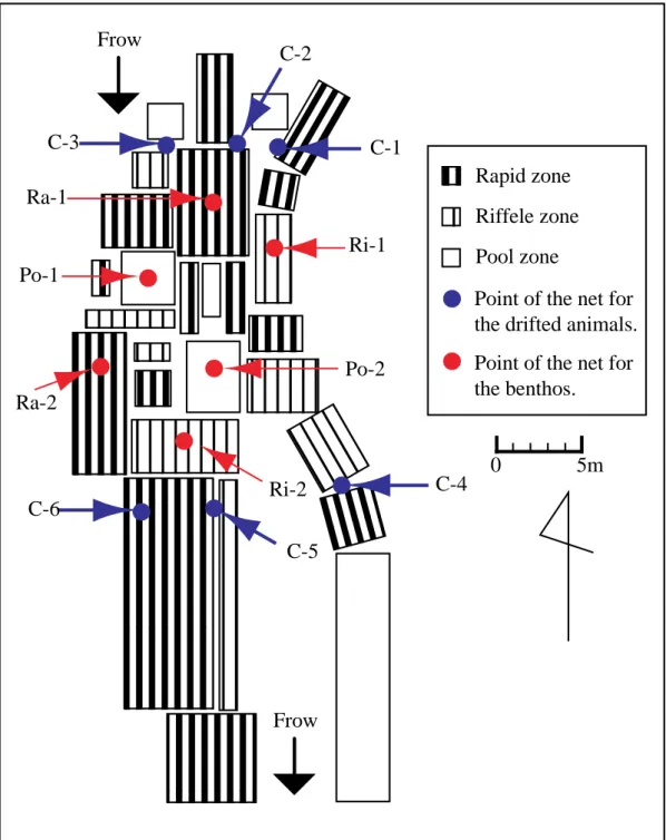 Fig. 3-3.      Sampling points and distribution of river flow velocity in the Churui                        River (Area 2)