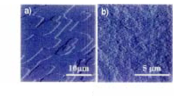 Fig. 4.    Effect of impurity on the crystallization  of tetragonal lysozyme crystals 6) 