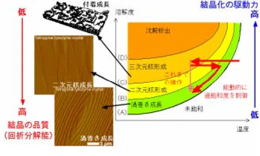 Fig. 8.    Active control of the supersaturation based on the phase diagram.    The curve  (A) presents the solubility curve