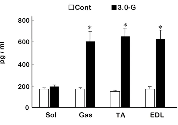 Fig. 3. Changes in tumor necrosis factor-α (TNFα) concentration in rat skeletal muscles
