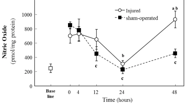 Fig 1.    Changes in NO content at 0, 4, 12, 24, and 48 hours after a single stretch injury  or sham-operation  in rabbit TA