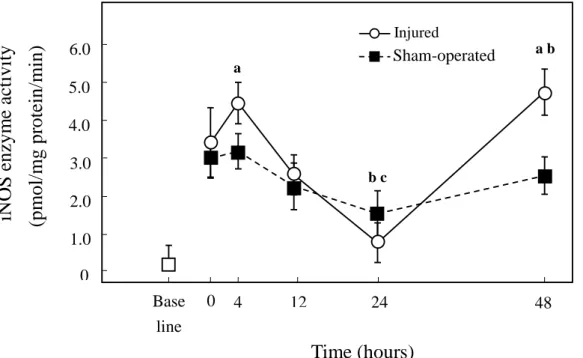 Fig.  3.  Changes in  iNOS activity at 0, 4, 12, 24, and 48 hours after  a single stretch  injury  and sham-operated  in rabbit TA