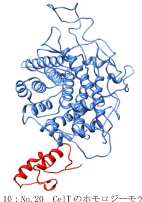 図 10 は、No.20 の CelT のホモロジーモデルである。表 A より GH9 の構造を Ribbon モデ ルで濃い水色に、Dockerin	
 I の構造を Ribbon モデルで赤に表示した。	
  	
  	
  図 10：No.20	
  CelT のホモロジーモデル	
  	
  	
  	
  	
 
